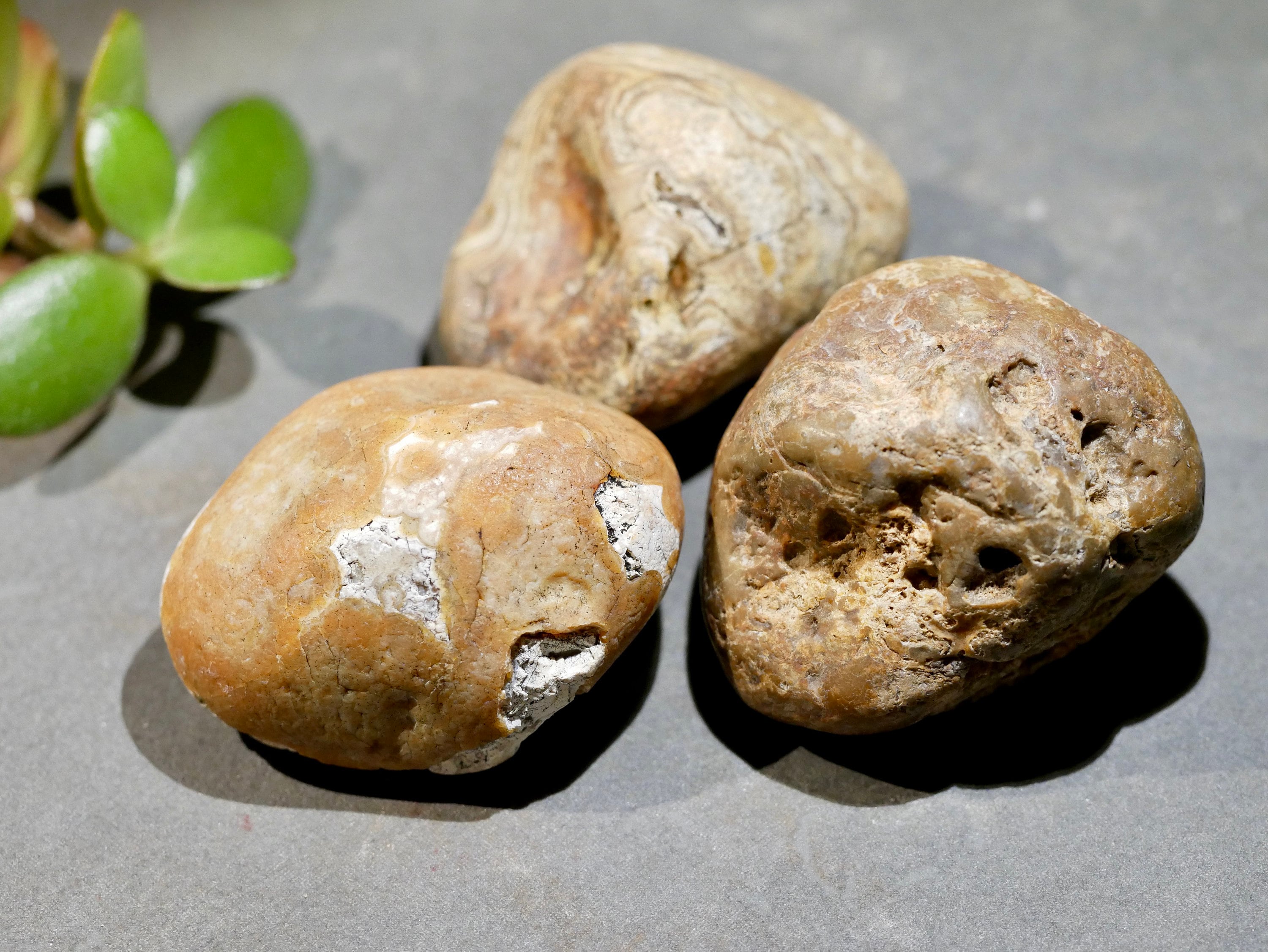 Set of Raw Agate Stones natural rough Agate from Brazil | Etsy