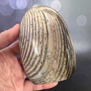 Indulge in the serene beauty of our Beige Creamy Agate Freeform
Size: approx. 4.5 inches
Weight: 737 grams = 26oz