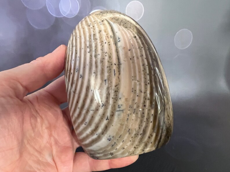 Indulge in the serene beauty of our Beige Creamy Agate Freeform
Size: approx. 4.5 inches
Weight: 737 grams = 26oz