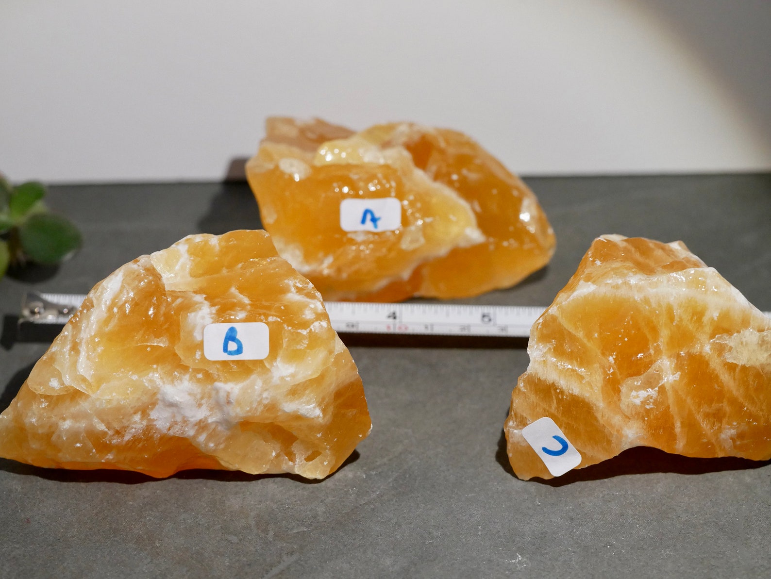 Glänzender Oranger Calcit Rock großer saftiger oranger | Etsy