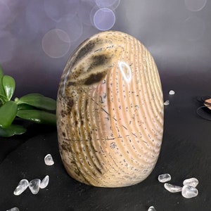 Indulge in the serene beauty of our Beige Creamy Agate Freeform
Size: approx. 4.5 inches
Weight: 737 grams = 26oz