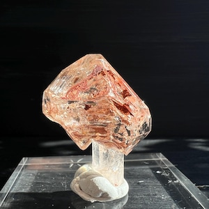 Firefly Quartz 1.5&quot; | Petroleum Quartz Scepter | Madagascar Specimen Top Grade Quality