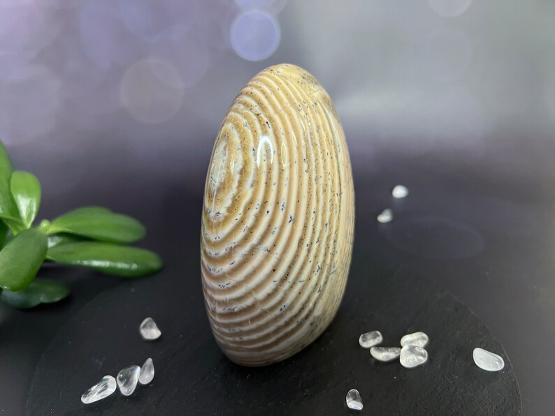 Indulge in the serene beauty of our Beige Creamy Agate Freeform
Size: approx. 4.5 inches
Weight: 737 grams = 26oz