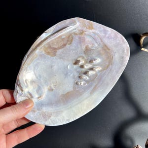 Könnte beinhalten: Eine schimmernde, ovale Muschelschale mit Perlmuttglanz. Die Schale hat eine natürliche, strukturierte Oberfläche mit Weiß-, Braun- und Violetttönen. Die Schale ist leer und scheint ein dekorativer Gegenstand zu sein.
