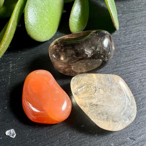 Könnte beinhalten: Drei polierte Edelsteine: ein durchscheinender Rauchquarz, ein leuchtend orangefarbener Karneol und ein hellgelber Citrin. Die Steine sind glatt und abgerundet, mit glänzendem Finish. Der Hintergrund umfasst grüne Pflanzenblätter.
