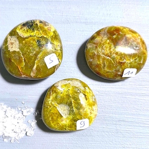 Pierre de palmier opale pistache | Galet vert poli de Madagascar