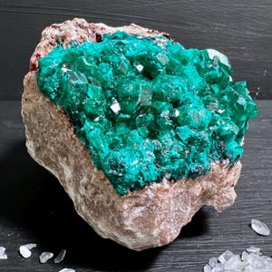 Dioptase Gemstone 3&quot; Cabinet Specimen