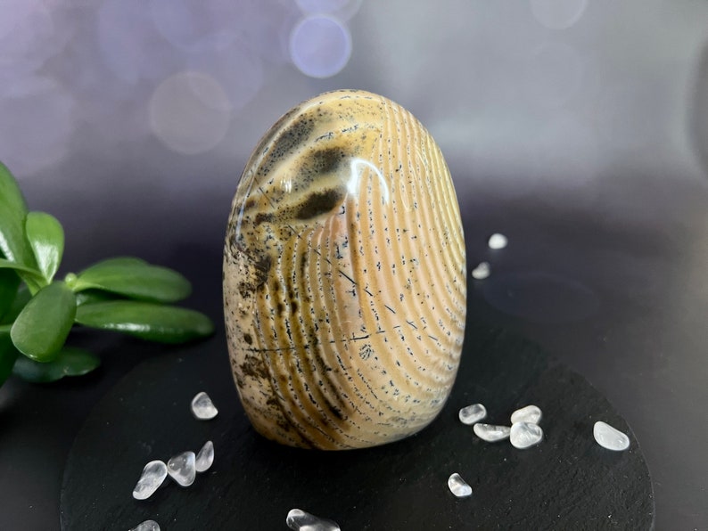 Indulge in the serene beauty of our Beige Creamy Agate Freeform
Size: approx. 4.5 inches
Weight: 737 grams = 26oz