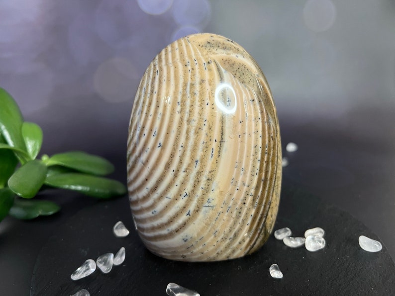 Indulge in the serene beauty of our Beige Creamy Agate Freeform
Size: approx. 4.5 inches
Weight: 737 grams = 26oz