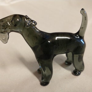 Kerry Blue Terrier