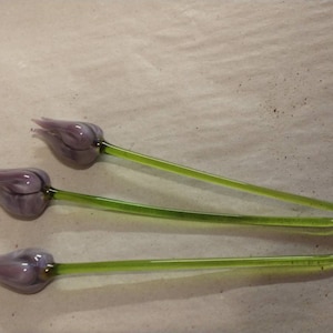 Può includere: Tre tulipani di vetro con petali a spirale viola e bianchi e steli verdi.
