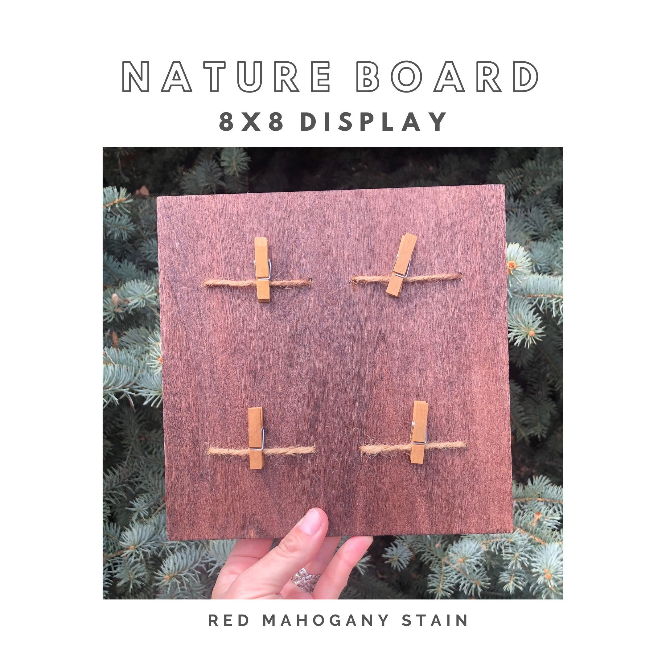 Wooden display board. Nature study board. Child art display. Etsy