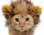 Lion Mane Cat Costume & Small Dog Costume