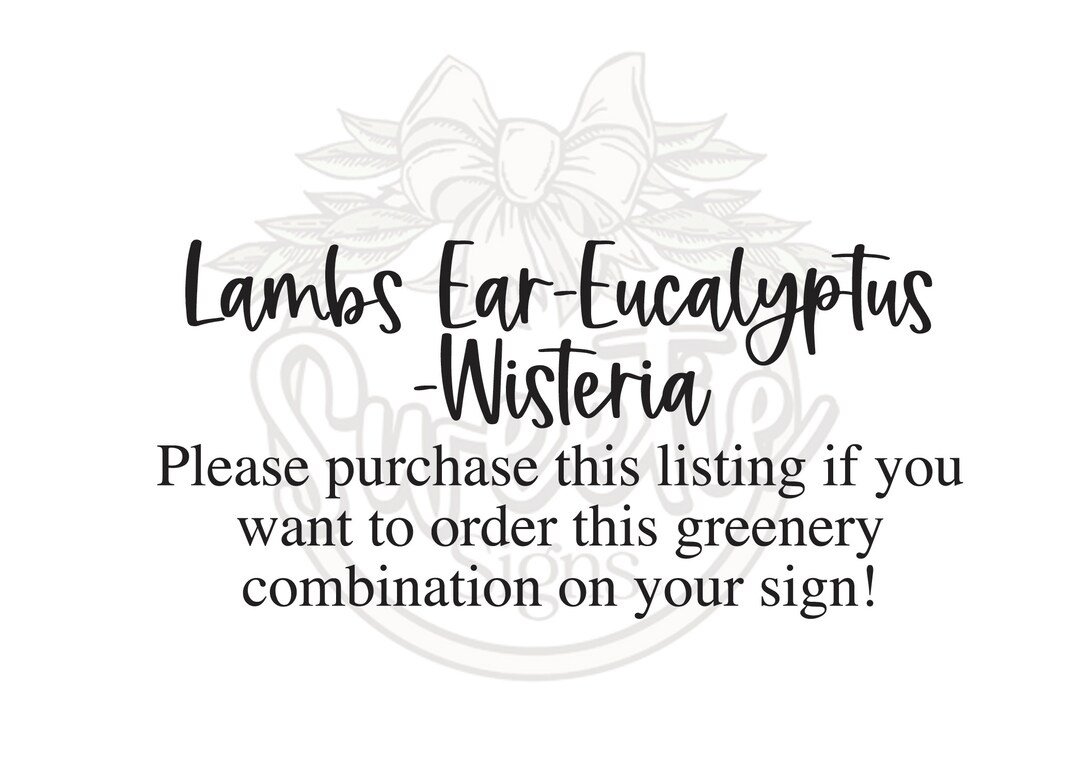 Lambs Ear/eucalyptus/wisteria Etsy