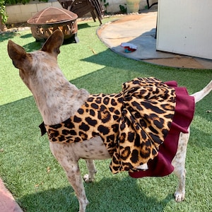 Leopard Dress for Pets | Dog Leopard Dress | Dog Apparel | Pet Apparel | Dog Clothes XXS-XXL | Made to Order | Dog Dresses
