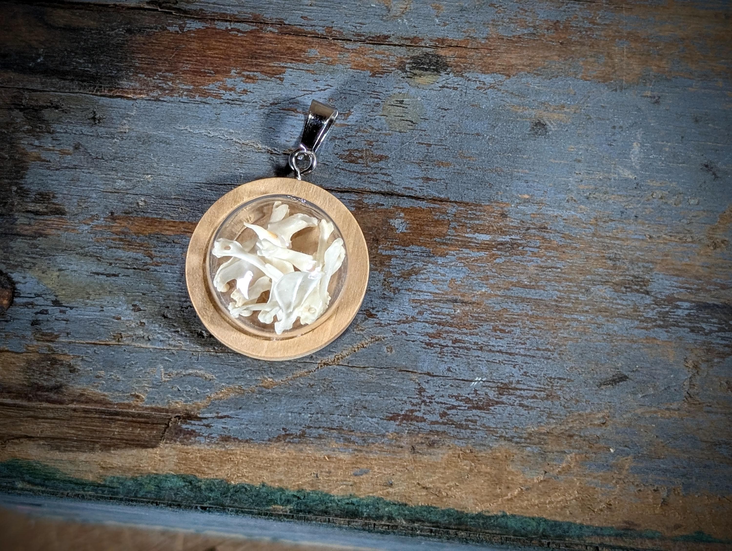 Owl Pellet Bone Pendant: Miniature Rodent Skeleton in Glass Dome