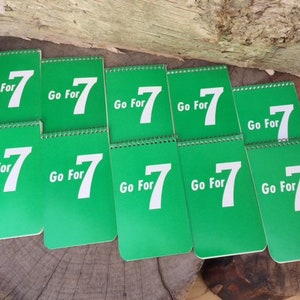 Little Vintage Notebooks (10)