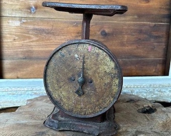 Vintage Rusty Scale