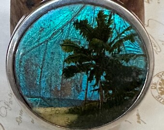 Vintage Estate Art Deco Butterfly Wing Powder Compact  Storage Make-Up Cosmetics 1920's - 1930's