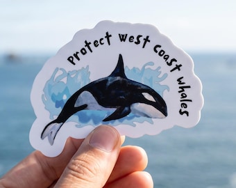 Eco Friendly Killer Whale Awareness Sticker, Orca Sticker for Laptop, Marine Creature Gift, Stocking Stuffer, Eco Friendly Paper
