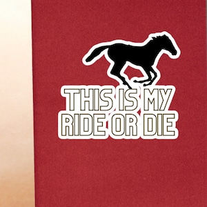 Sticker cheval pour sports équestres, sticker cheval monter ou mourir, grand sticker extérieur, cadeau fille de cheval, sticker équestre pour cadeau, sticker équin