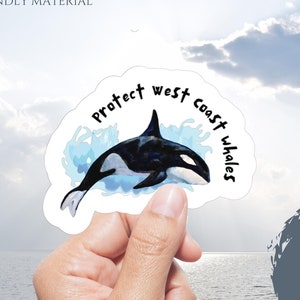 Sticker Protéger les épaulards, Sticker écologique, Sticker épaulard en papier, Cadeau d'anniversaire baleine, Sticker de sensibilisation, Matériau sans plastique