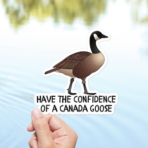 Sticker Bernache du Canada, sticker confiance booster, sticker santé mentale, cadeau inspirant et édifiant, sticker drôle, cadeau pour ami
