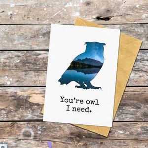 Carte de voeux hibou avec jeu de mots drôle, carte d'anniversaire de hibou pour conjoint, carte pour mari ou femme, carte d'anniversaire sur le thème de la nature, carte d'anniversaire de hibou