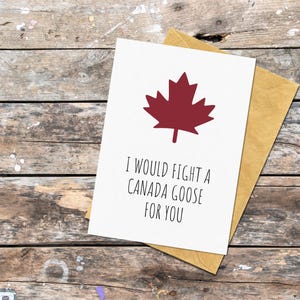 Tarjeta de felicitación de ganso canadiense para alguien especial, lucharía por un ganso canadiense por ti, divertida tarjeta canadiense para cumpleaños, regalo para un amigo