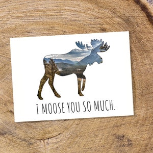 Jeu de cartes postales orignal, cartes postales de montagne, parc national Banff, jeu de cartes postales nature, je vous ai tellement, envoyez un message, cadeau orignal