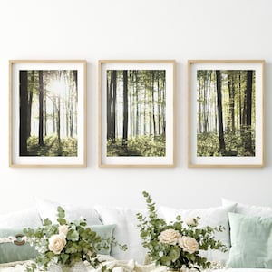 Set of 3 Forest Prints, Tree Wall Art, Forest Picture Set of Three, Nature Photography Print, Nature Gift for Birthday, Gift for Mom