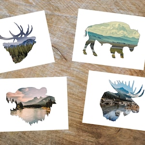 Lot de 4 cartes postales animaux de la montagne, cartes postales animaux sauvages, ensemble de cartes postales montagnes Rocheuses, cadeau d'anniversaire pour amoureux de la nature, cartes postales vierges