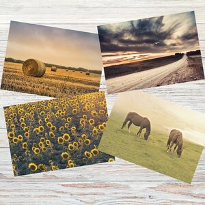 Set of 4 Prairie Landscape Postcards, Horse Postcards, Country Postcard Set, Sunflowers Post Cards, Sending a Warm Greeting