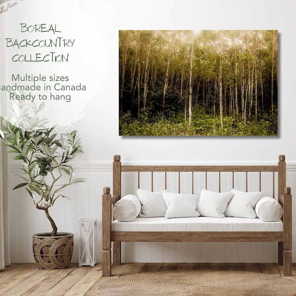 Birch Tree Wall Art for Cabin, Forest Canvas Print, Woodland Landscape Art for Living Room, Cottage Aesthetic Room Decor, Tree Wall Art