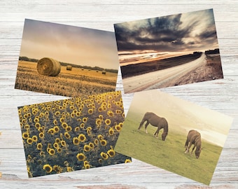 Set of 4 Prairie Landscape Postcards, Horse Postcards, Country Postcard Set, Sunflowers Post Cards, Sending a Warm Greeting