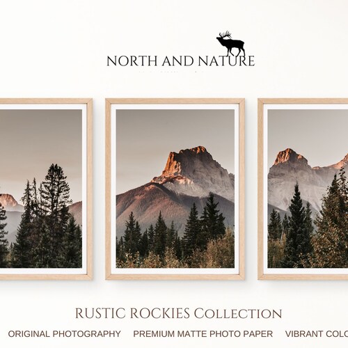 Pine Trees Triptych Wall Art Decor Landscape Nature Pine Etsy