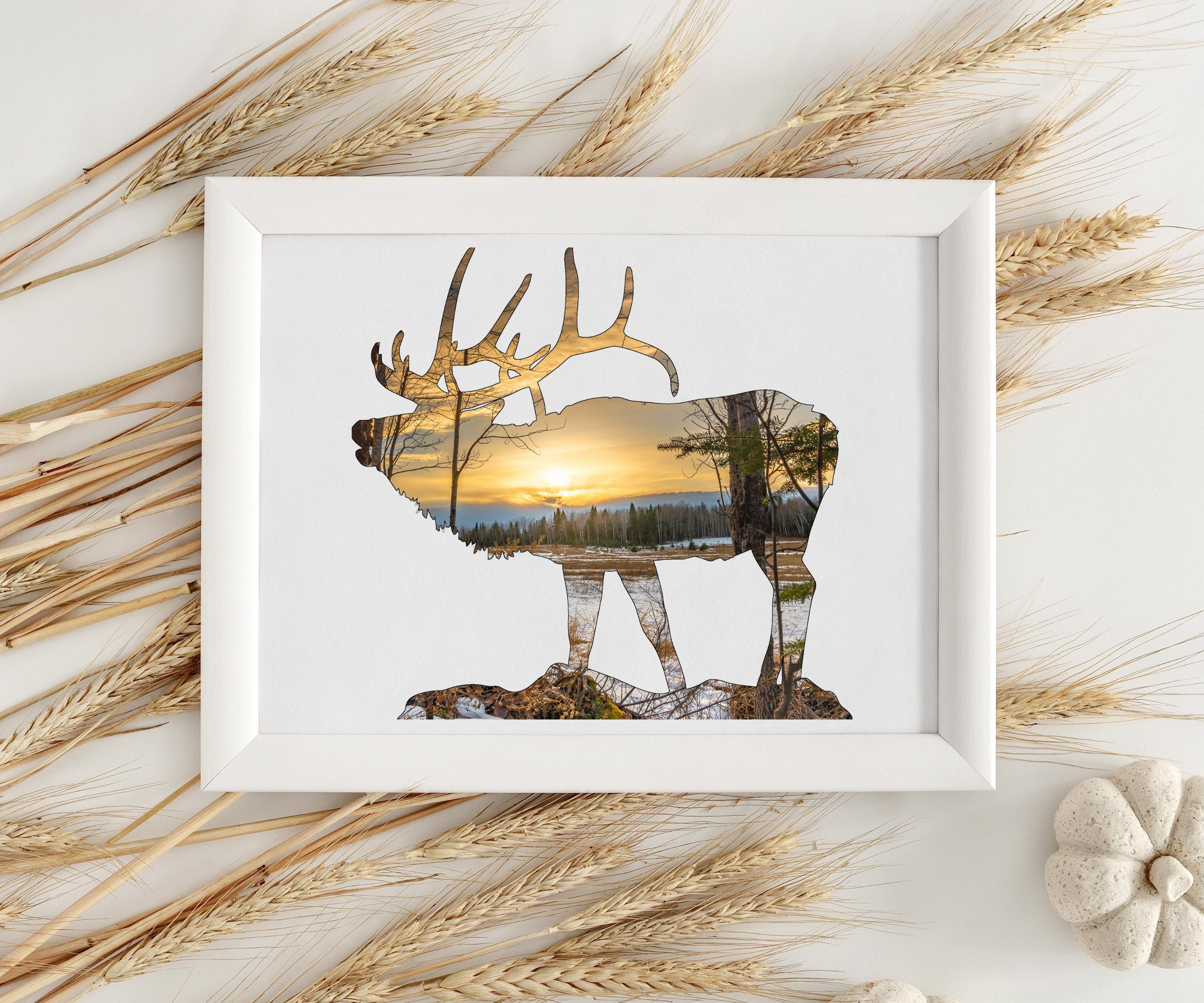 Elk Wall Art Print