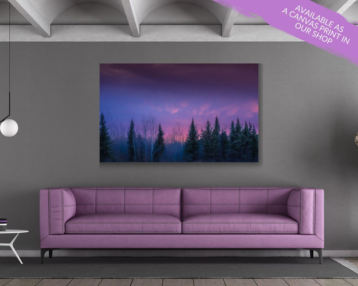 Evergreen Tree Wall Art Forest Wall Art Pine Tree Wall Art Etsy