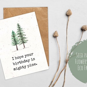 Carte d'anniversaire pin pour amoureux de la nature, carte d'anniversaire en papier graine pour ami, carte d'anniversaire sur le thème de la nature, carte de voeux arbre calembour