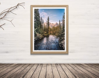 Mountain Forest Photography Print, Rocky Mountains Landscape Photo, Canadian Rockies Wall Art, Wilderness Photo, Pine Tree Forest Picture