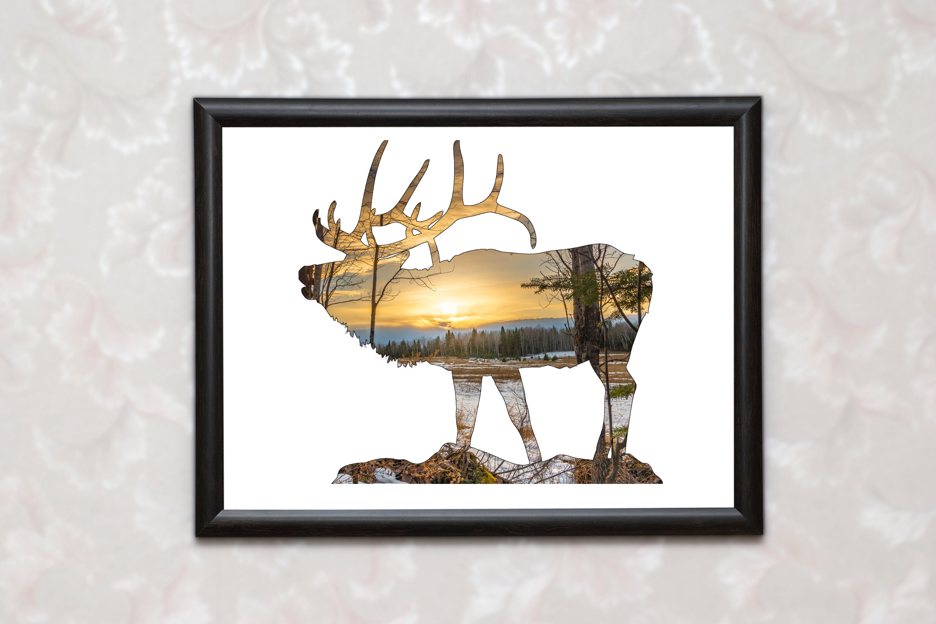 Elk Wall Art Print