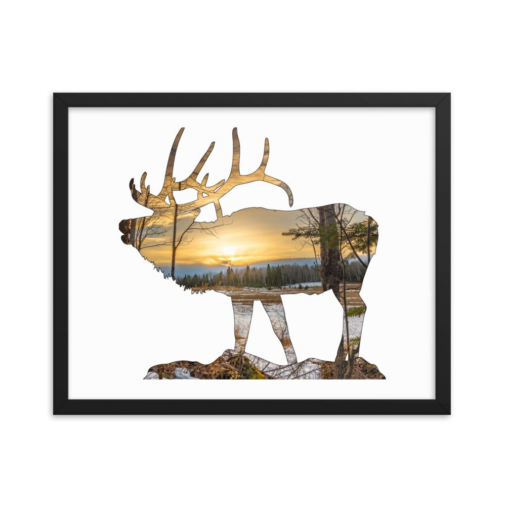 Elk Wall Art Print
