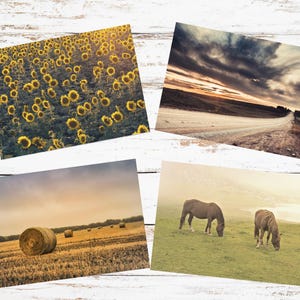 Set di 4 cartoline con paesaggi di prateria, cartoline con cavalli, set di cartoline di campagna, cartoline con girasoli, invio di un caloroso saluto