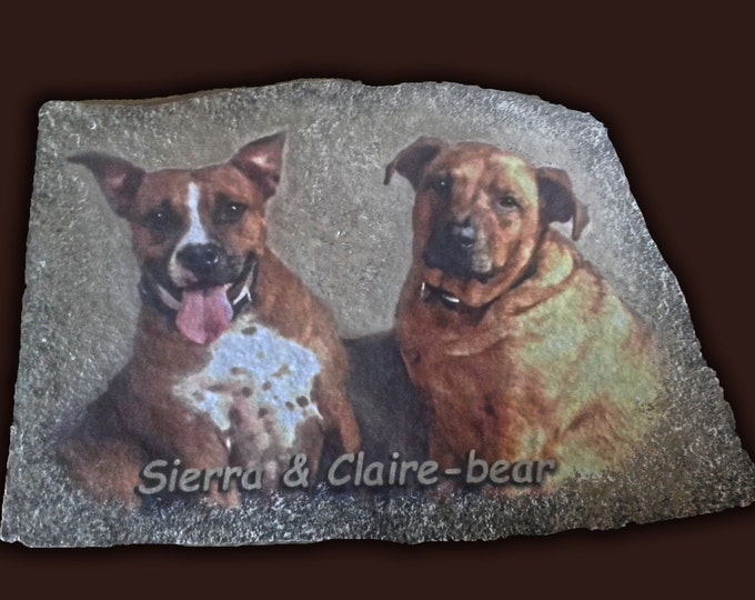 Hand Painted Dog Portrait Photo Art Collage on 10"x12" Memory Stone