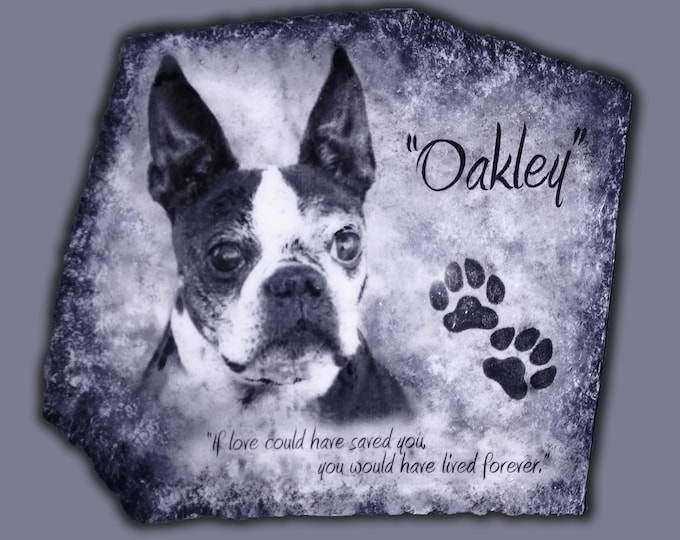 Hand Painted Pet Memorial Photo Art Portrait with 3 options, Name, Paw Prints, Quote on approx 8" x 10" Outdoor Stone