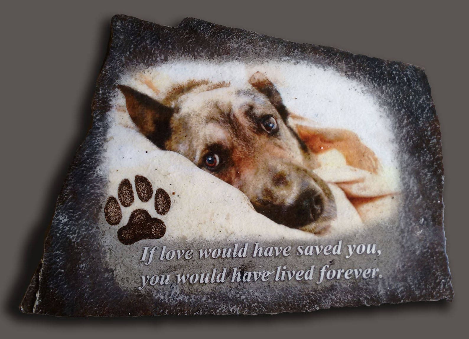 Hand Painted Pet Memorial Photo Art Portrait With a Quote and Etsy