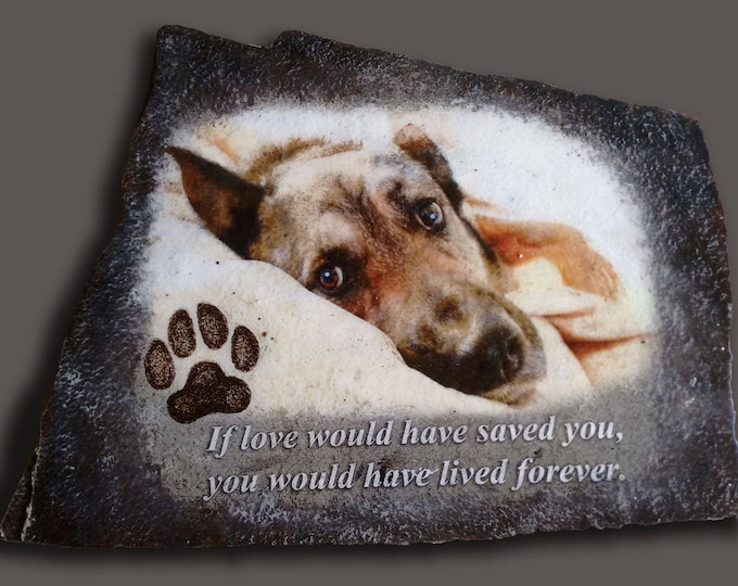 Hand Painted Pet Memorial Photo Art Portrait with a quote and paw prints on Stone