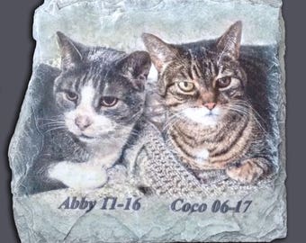 Hand Painted Cat Portrait 2 Photos sur Memory Stone avec 2 noms et 2 dates