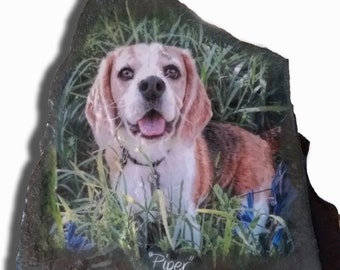 Portrait de chien peint à la main Art photo avec le nom du chien sur la pierre