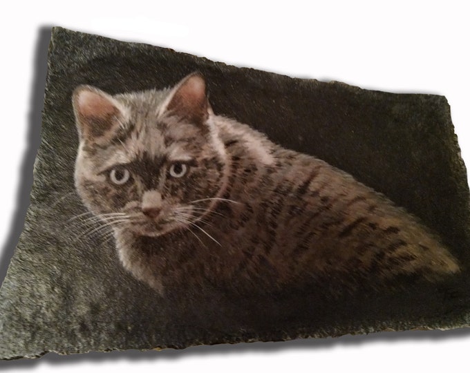 Hand Painted Cat Portrait Photo Art on Memory Stone